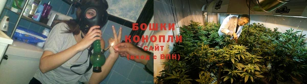 СК Медвежьегорск