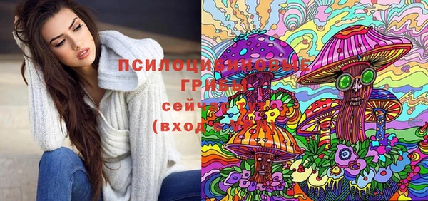 таблы Михайловск