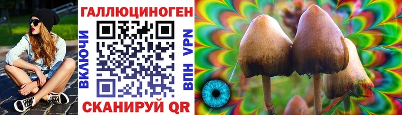 Галлюциногенные грибы MAGIC MUSHROOMS  купить закладку  Якутск 