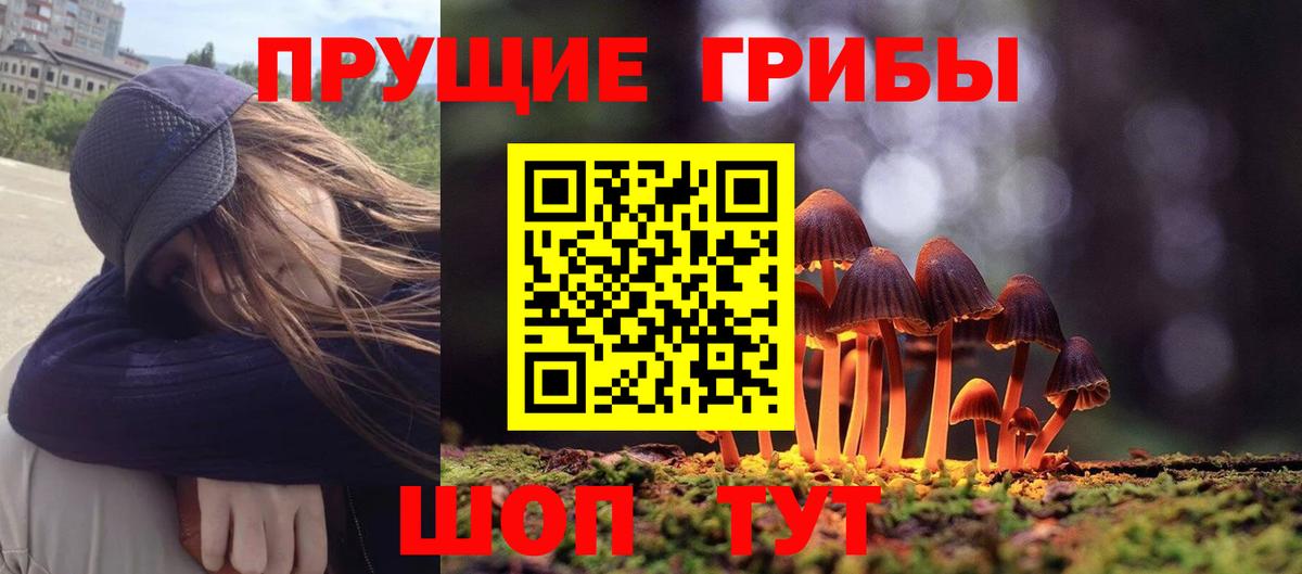 Псилоцибиновые грибы Psilocybine cubensis  Вход с VPN  Галлюциногенные грибы MAGIC MUSHROOMS  Якутск 
